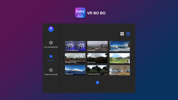 TECHE VRBOBO License for SRT Streaming with Pico VR Headset - Life Pal Store