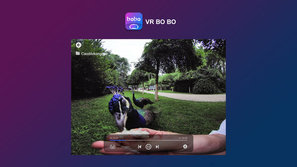 TECHE VRBOBO License for SRT Streaming with Pico VR Headset - Life Pal Store