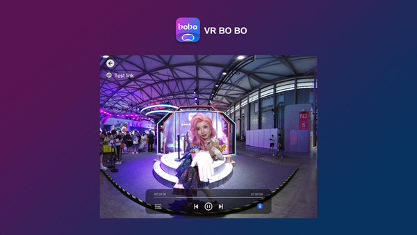 TECHE VRBOBO License for SRT Streaming with Pico VR Headset - Life Pal Store