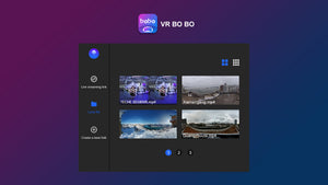 TECHE VRBOBO License for SRT Streaming with Pico VR Headset - Life Pal Store